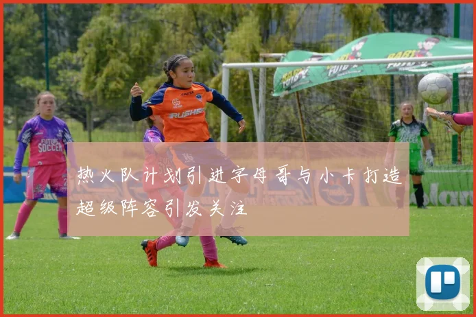 热火队计划引进字母哥与小卡打造超级阵容引发关注
