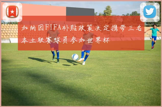 加纳因FIFA补贴政策决定携带三名本土联赛球员参加世界杯